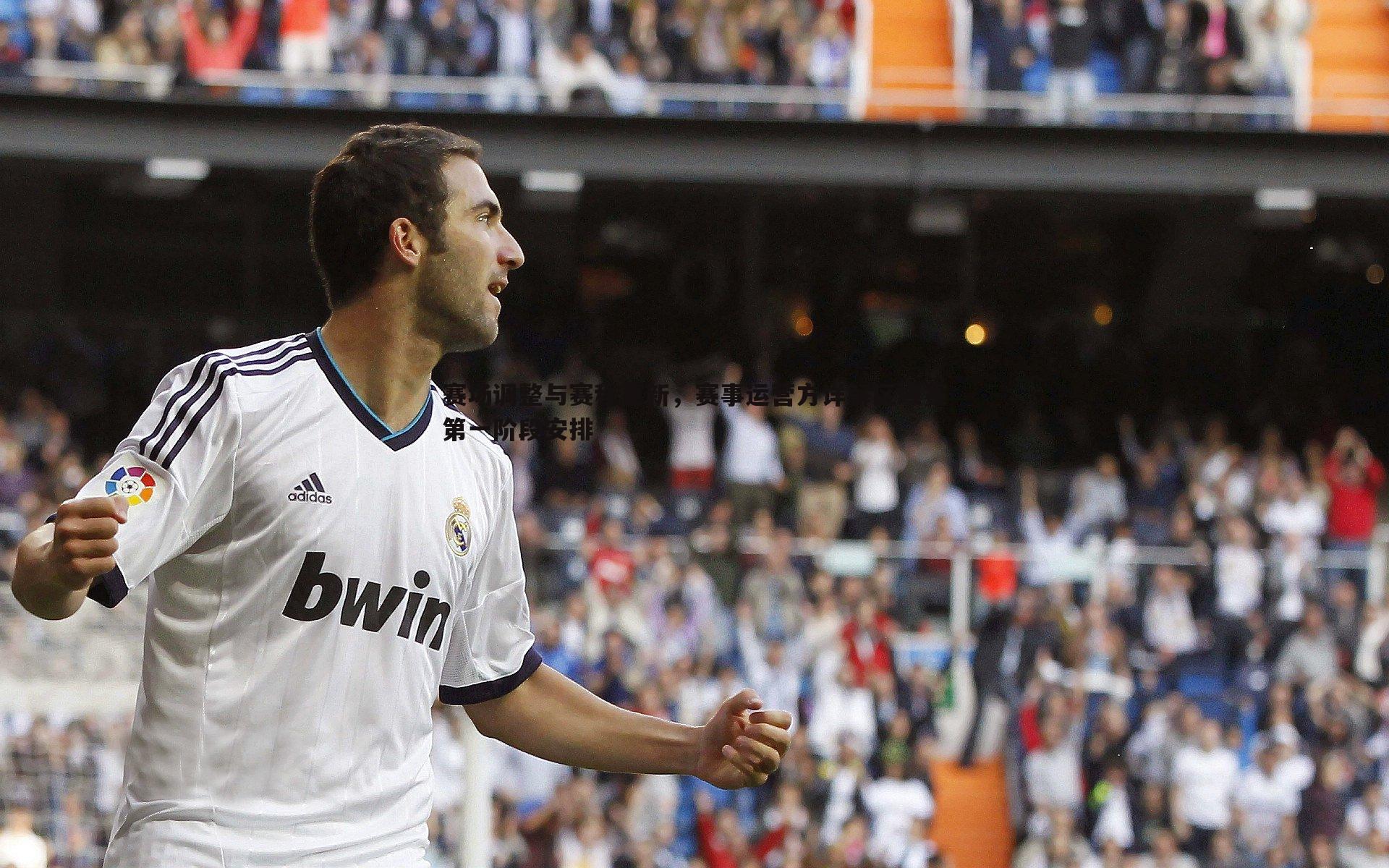 赛场调整与赛程更新，赛事运营方详解区域赛第一阶段安排